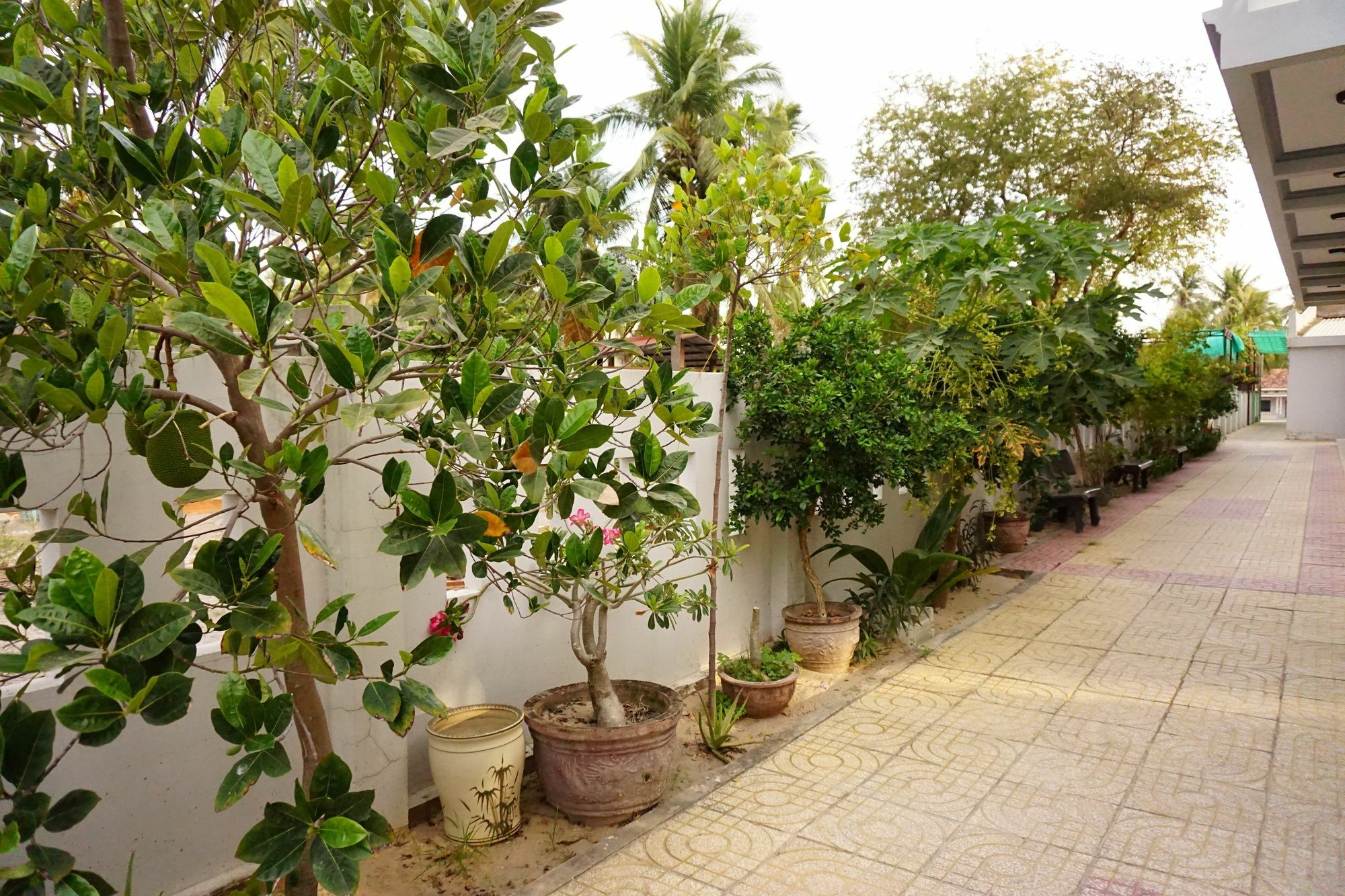 Cat Tien Guesthouse Муи Не Екстериор снимка